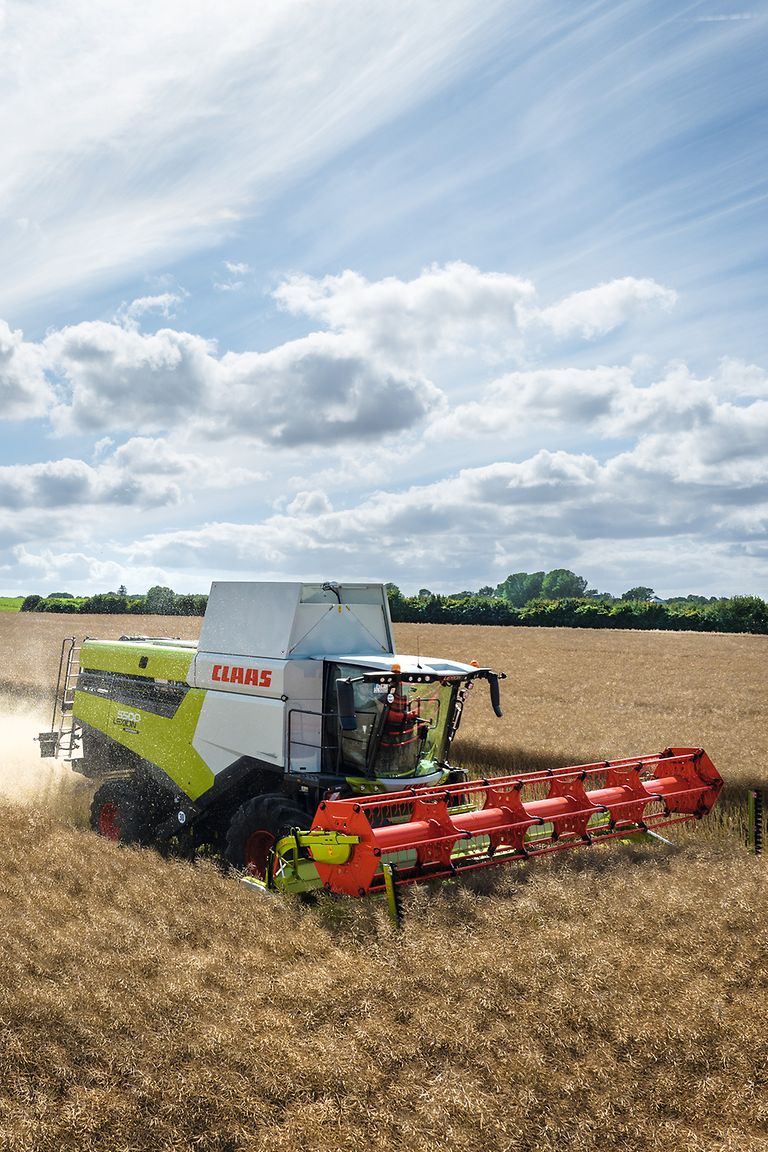 467778_27 LEXION 5500 pentru recoltarea rapiței.