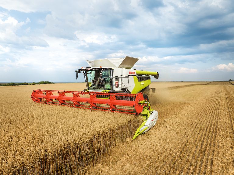 469576_27 LEXION 6900 TERRA TRAC når du høster havre med VARIO 930 skjærebord.