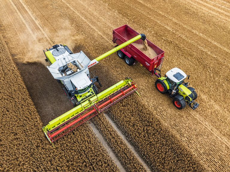 469563_27 LEXION 6900 ar CONVIO FLEX 1080, novācot auzas, tam blakus ir traktors un graudu pārvadāšanas piekabe.